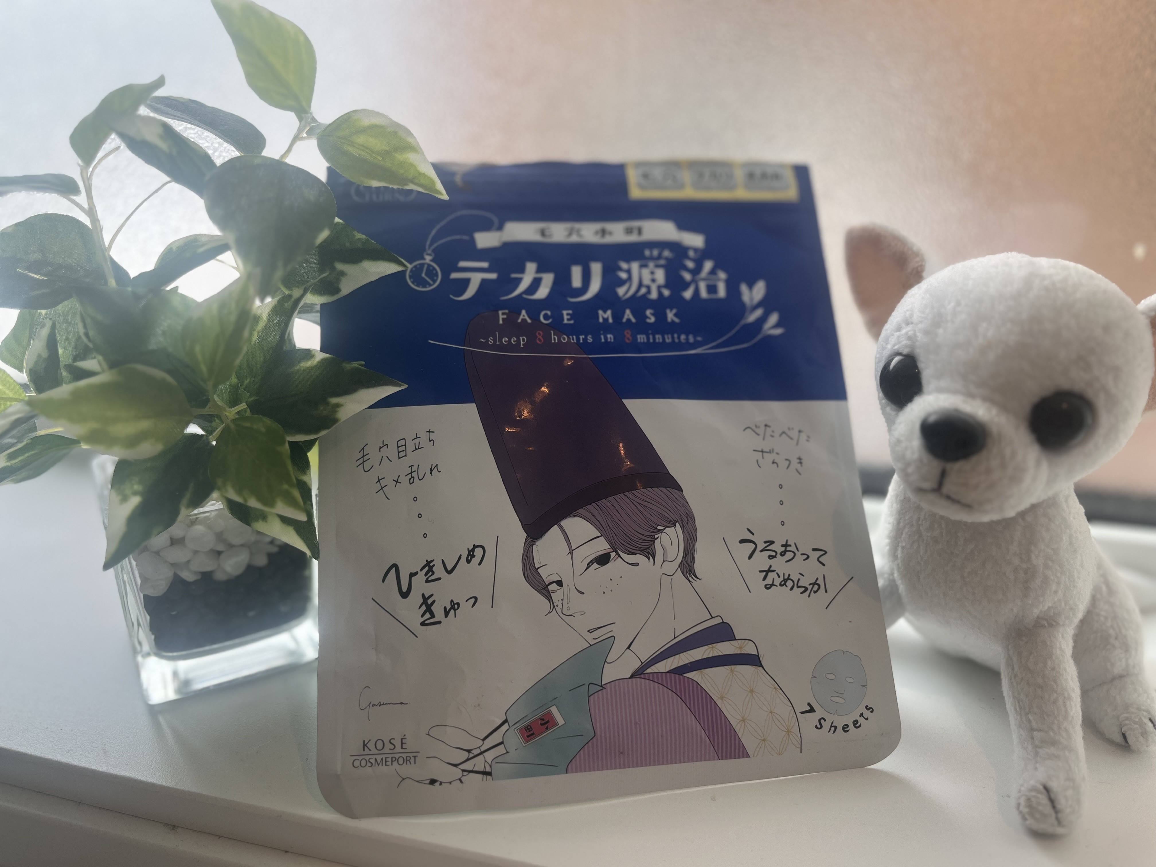 朝 洗顔 しない