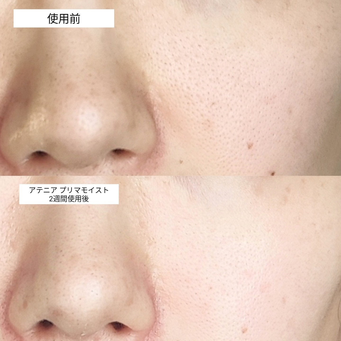 アテニア プリマモイストのトライアルセットを2週間試した結果